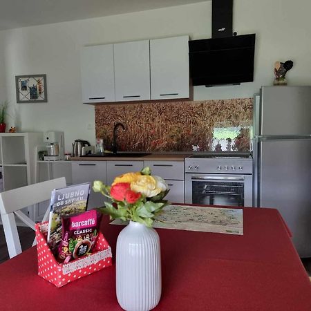 Apartmaji Ribic Ljubno Eksteriør billede