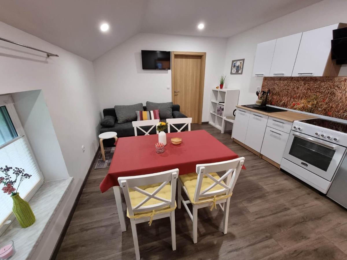 Apartmaji Ribic Ljubno Eksteriør billede