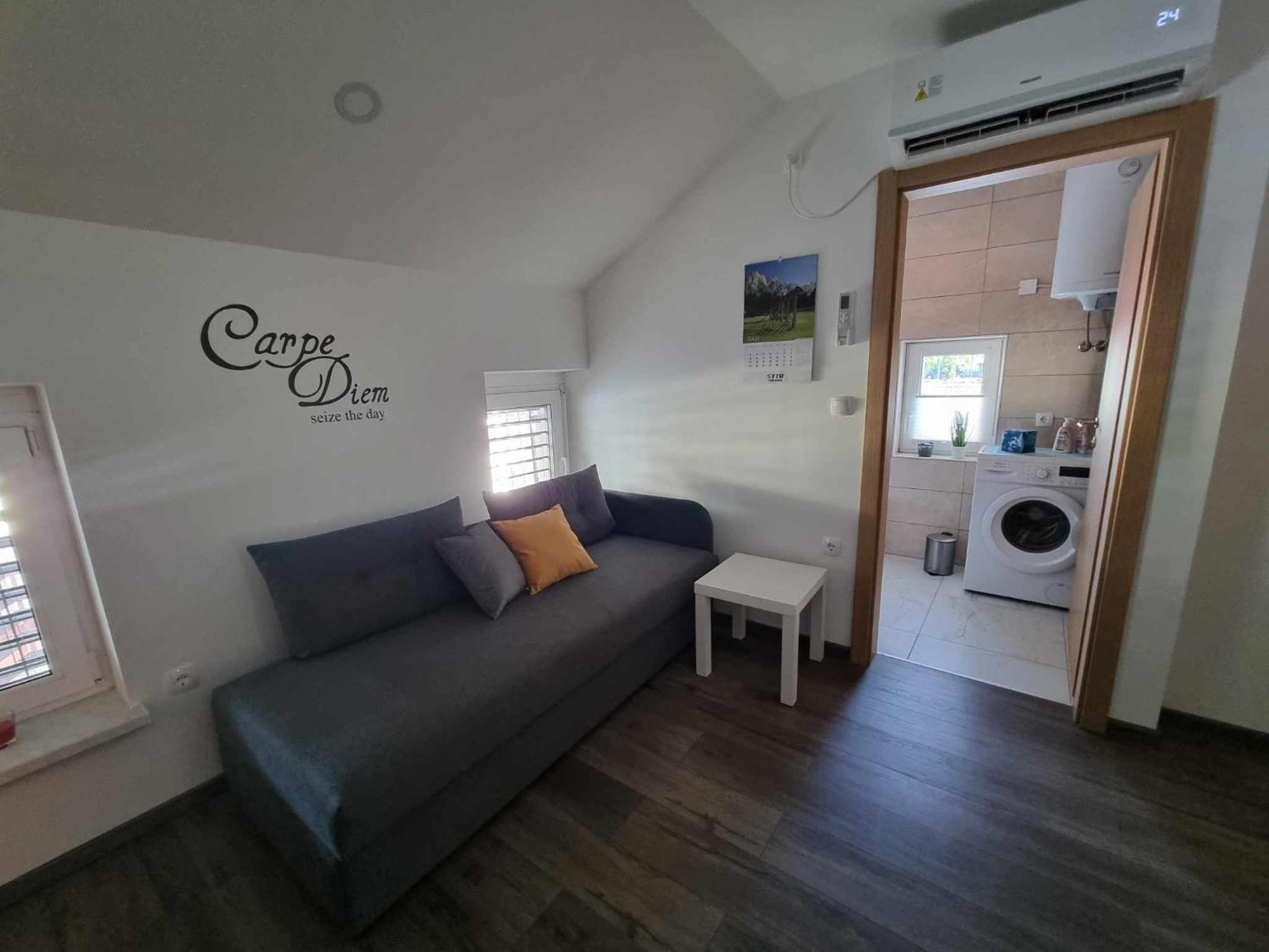 Apartmaji Ribic Ljubno Eksteriør billede