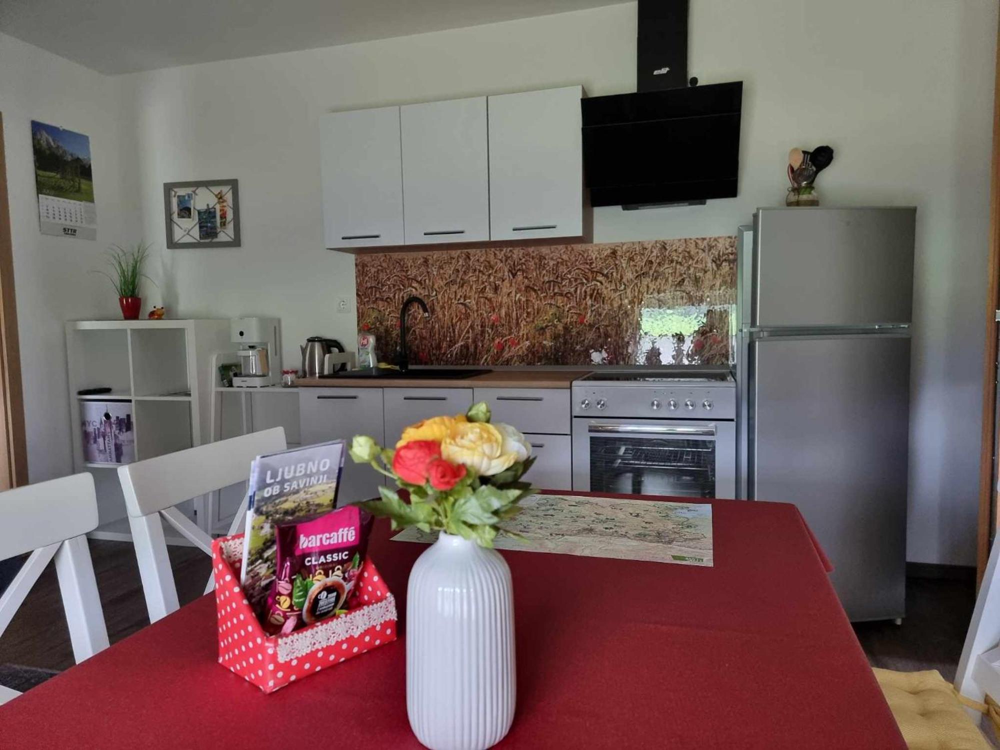 Apartmaji Ribic Ljubno Eksteriør billede